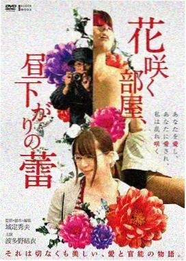 肖申克的救赎 伊人影视
